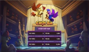 Đá Gà 3D Tại 12Bet