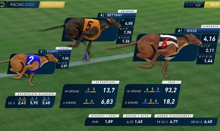 Bí Quyết Chơi Đua Chó Nhanh Tại 12bet Hiệu Quả 2 Thông tin các loại chó cược trong game Đua Chó Nhanh Tại 12bet