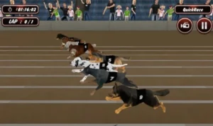 Đua Chó Nhanh Tại 12bet