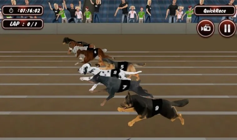 Bí Quyết Chơi Đua Chó Nhanh Tại 12bet Hiệu Quả 1 Đua Chó Nhanh Tại 12bet