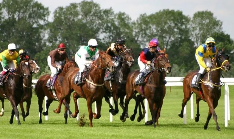 Tìm Hiểu Cá Cược Đua Ngựa 12Bet Bí Quyết Tối Ưu Hóa Thắng Lợi 2 Cần tìm hiểu kỹ về bộ môn đua ngựa 12Bet trước khi cá cược