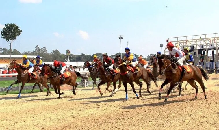 Tìm Hiểu Cá Cược Đua Ngựa 12Bet Bí Quyết Tối Ưu Hóa Thắng Lợi 1 đua ngựa 12Bet